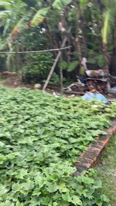 Đất nền Thới An Ô Môn Cần Thơ 182m² giá 680 triệu - Chính chủ bán gấp!