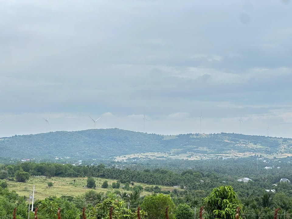 Lô Đất Cây Trồng Lâu Năm Thổ Cư 3.384m² tại Mũi Né - Giá Chỉ 10.2 Tỷ VND!