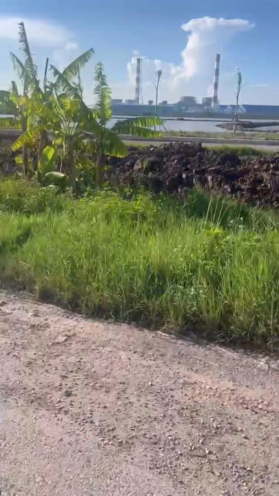 Đất nền lô góc tại thôn Thành Long, Tiền Hải 600m² giá 4.2 tỷ - Cơ hội đầu tư hấp dẫn!