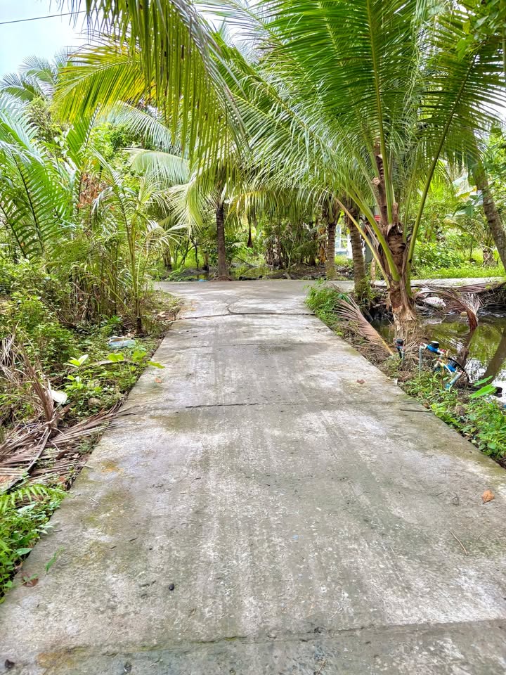 Đất nền đẹp Bình Trưng 150m² giá 320 triệu - Sổ đỏ chính chủ, bao san lấp!