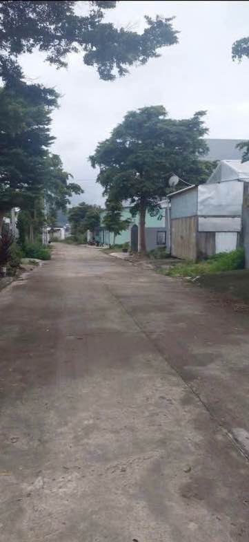 Đất nền Phú Hội, Đức Trọng 115.05m² giá 1.63 tỷ - Cơ hội đầu tư sinh lời!