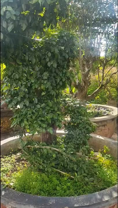 Đất hẻm An Dương Vương, Thắng Lợi, Pleiku 135m² giá 700 triệu - Sổ đỏ chính chủ