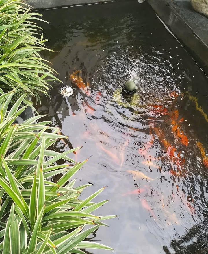 Nhà phố Đồng Tiến, Hòa Bình 160m² giá thỏa thuận - Không gian sống lý tưởng!