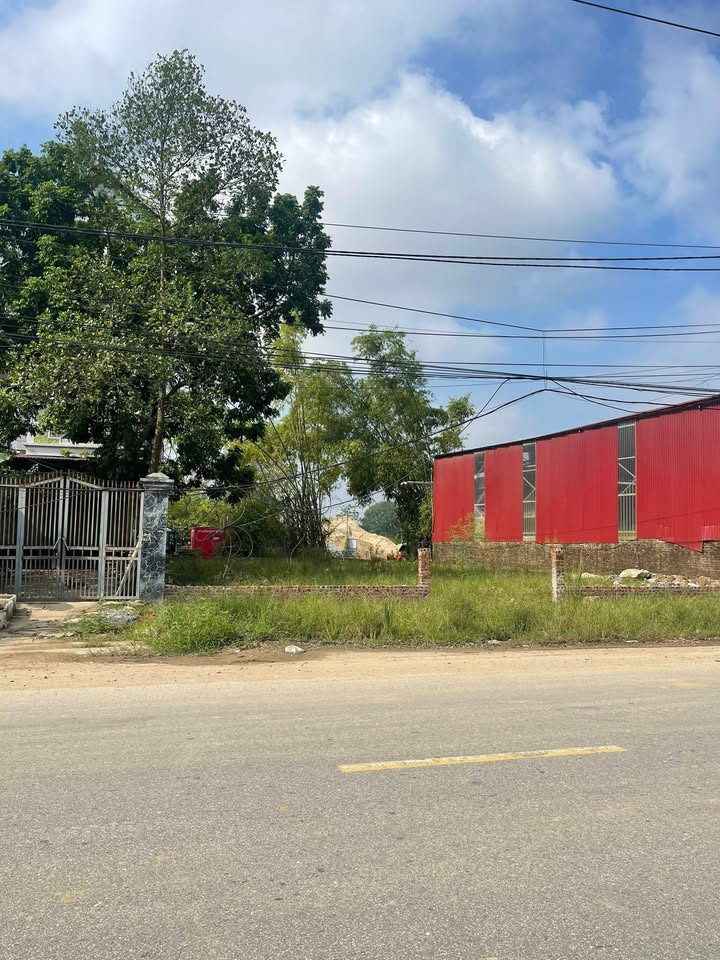 Lô đất mặt Quốc lộ 23B, Tiến Thắng 196m² - Cơ hội đầu tư hiếm có!