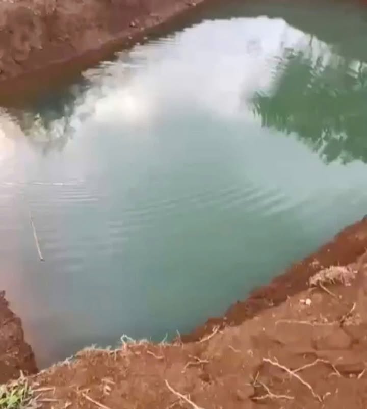 Đất nền 3 sào tại Quảng Tân, Tuy Đức giá chỉ 360 triệu - Đầu tư sinh lời ngay!