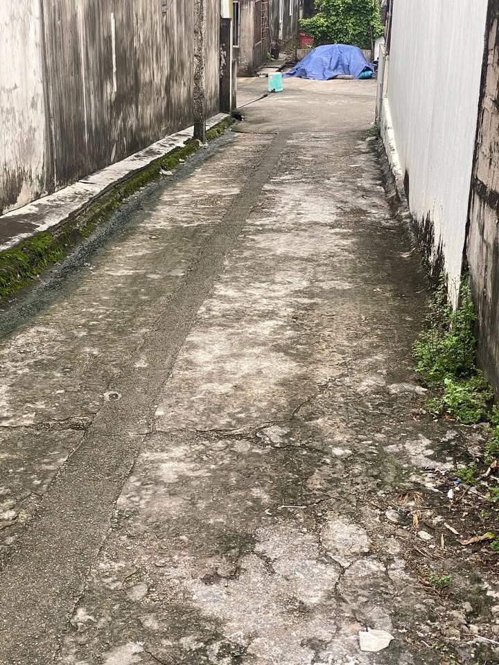 Đất nền tại phường Quang Hanh, Cẩm Phả - 59m² sổ hồng, giá chỉ 550 triệu