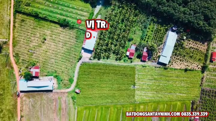 Đất nền 6.122m² xã Tân Bình, Tây Ninh - Cơ hội đầu tư sinh lời!