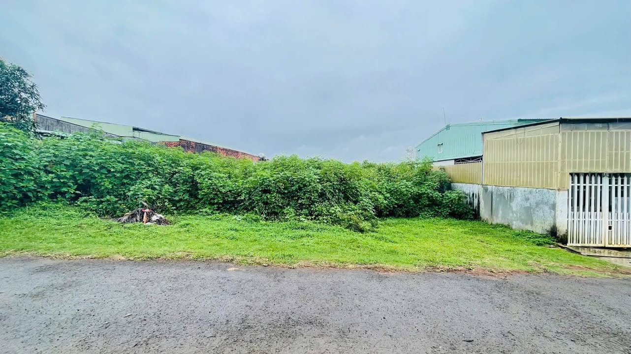 Đất hẻm 196 Lê Thánh Tôn, Diên Hồng, 225m² giá 1 tỷ - Đầu tư sinh lời