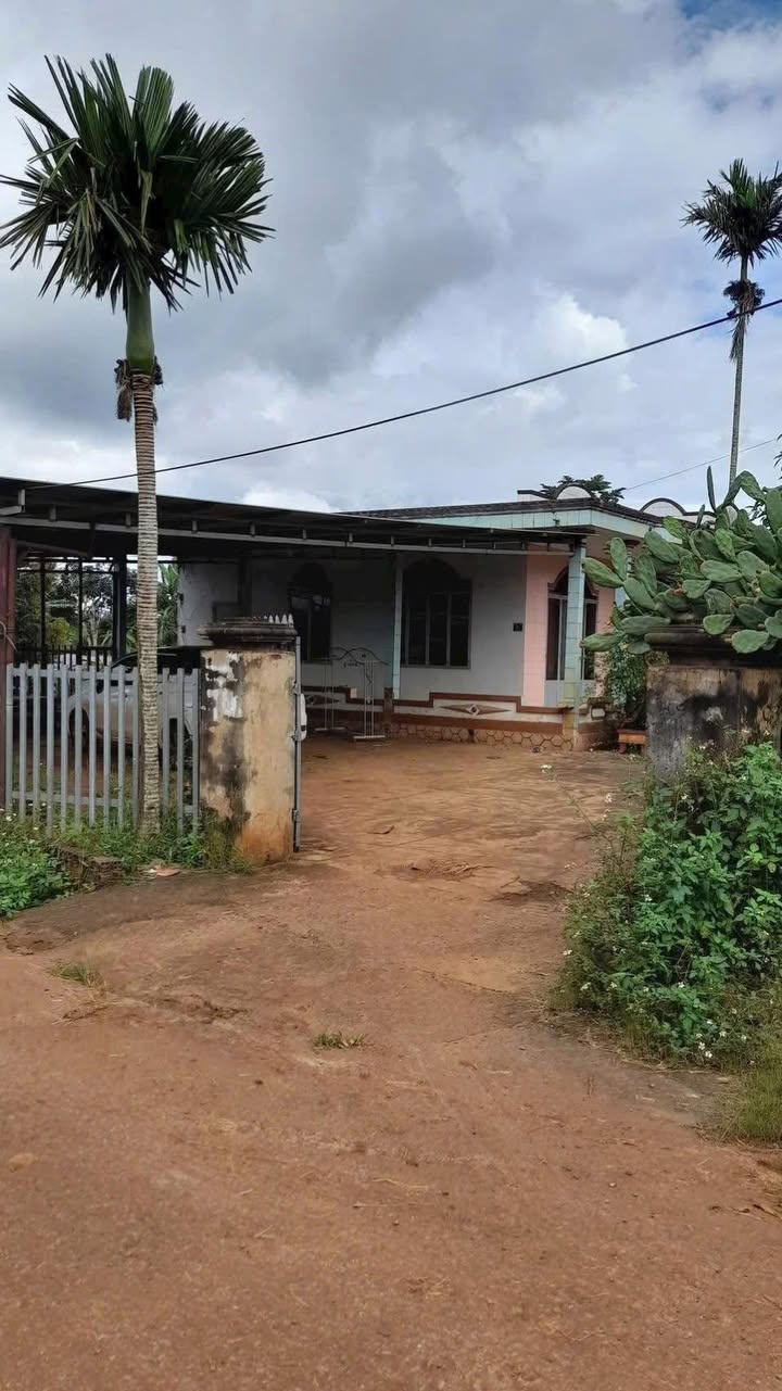 Đất nền Phú Xuân 832m² giá 51.84 tỷ - Đầu tư sinh lời ngay!