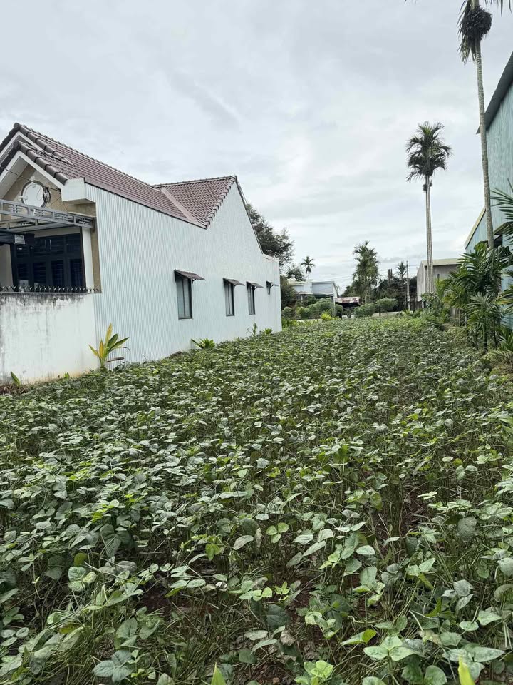 Đất 2 mặt tiền đẹp tại Buôn Hồ 480m² giá 2.4 tỷ - Đầu tư sinh lời cao!