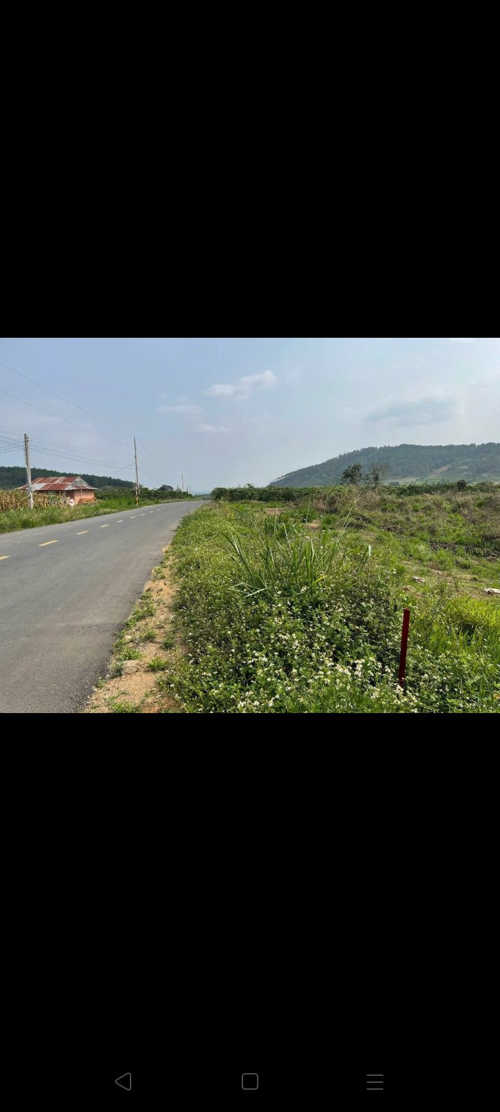 Đất vàng Tân Hội 7000m² giá chỉ 6 tỷ - Mặt tiền đường nhựa thuận lợi!