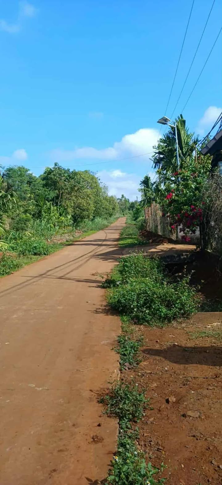 Đất nền Phú Xuân 1472m² giá 1.3 tỷ - Tiềm năng phân lô cao!