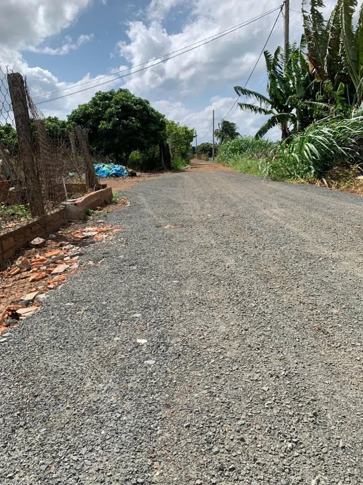 Đất thổ cư 5000m² tại Ninh Thành 2, Eakmut chỉ 1.8 tỷ - Tiềm năng đầu tư lớn!