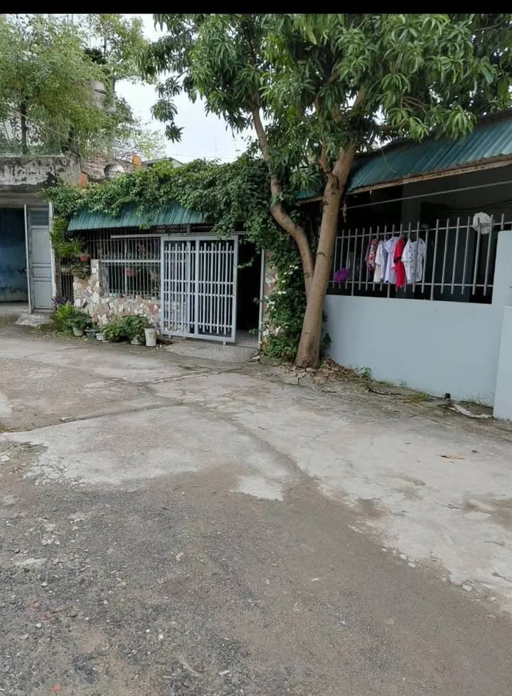 Đất nở hậu tại Ngõ 28, Cao Xanh, Hạ Long 92m² - Giá chỉ 2 tỷ thương lượng!