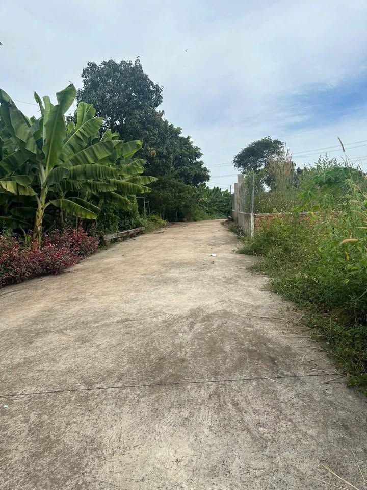 Đất nền 500m² Khu phố 7 Vĩnh An - Giá chỉ 760 triệu - Mát mẻ, thoáng đãng!