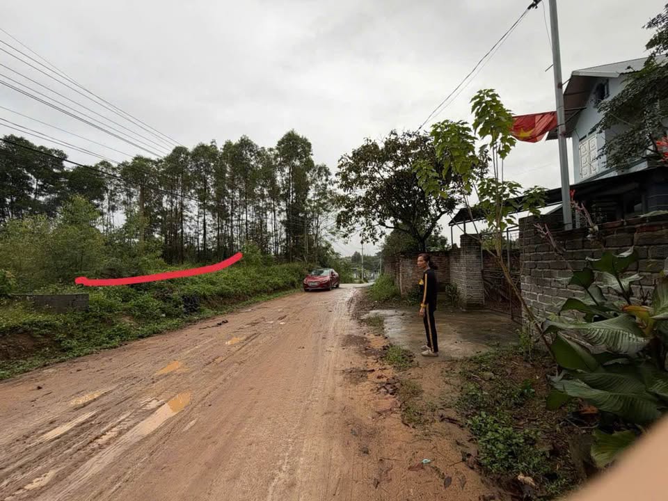 Đất nền Khu 8, xã Chu Hóa, Việt Trì 302m² giá chỉ 2 tỷ - Cơ hội đầu tư tuyệt vời!