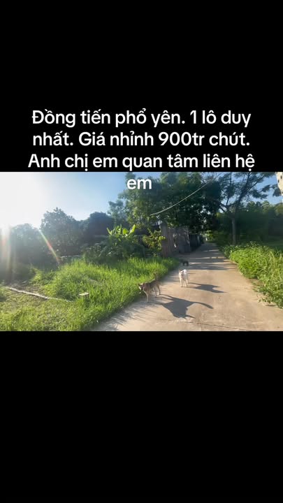 Lô đất đẹp 150m² Đồng Tiến, TP Phổ Yên - Giá chỉ 900 triệu!