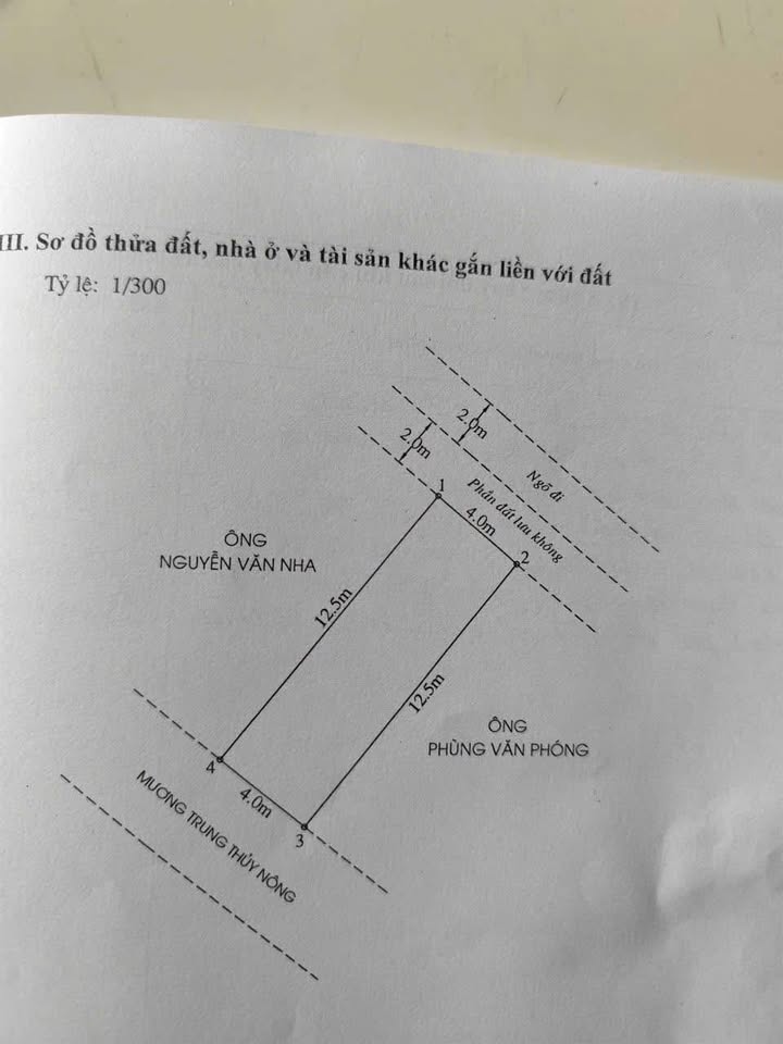 Đất nền chính chủ tại Đồ Sơn, Hải Phòng 50m² - Giá chỉ 1.05 tỷ!