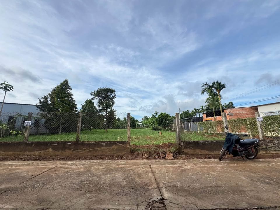 Đất Hẻm Mậu Thân, Tân An 250m² chỉ 1.55 tỷ - Cơ hội đầu tư tuyệt vời!