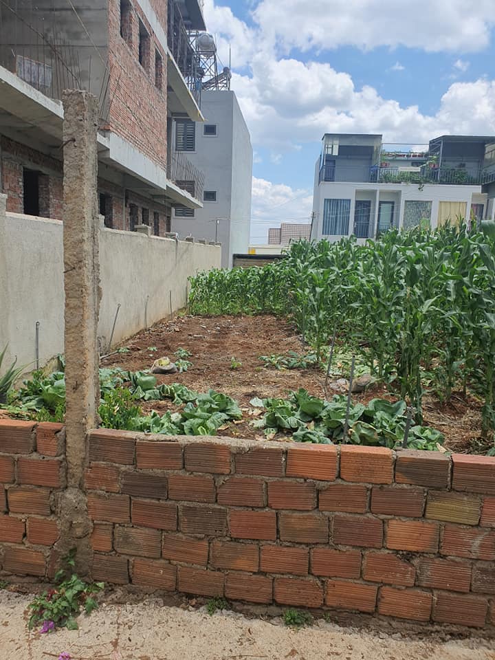 Đất nền Hiệp An Đức Trọng 100m² giá 2 tỷ - Cơ hội đầu tư hấp dẫn!