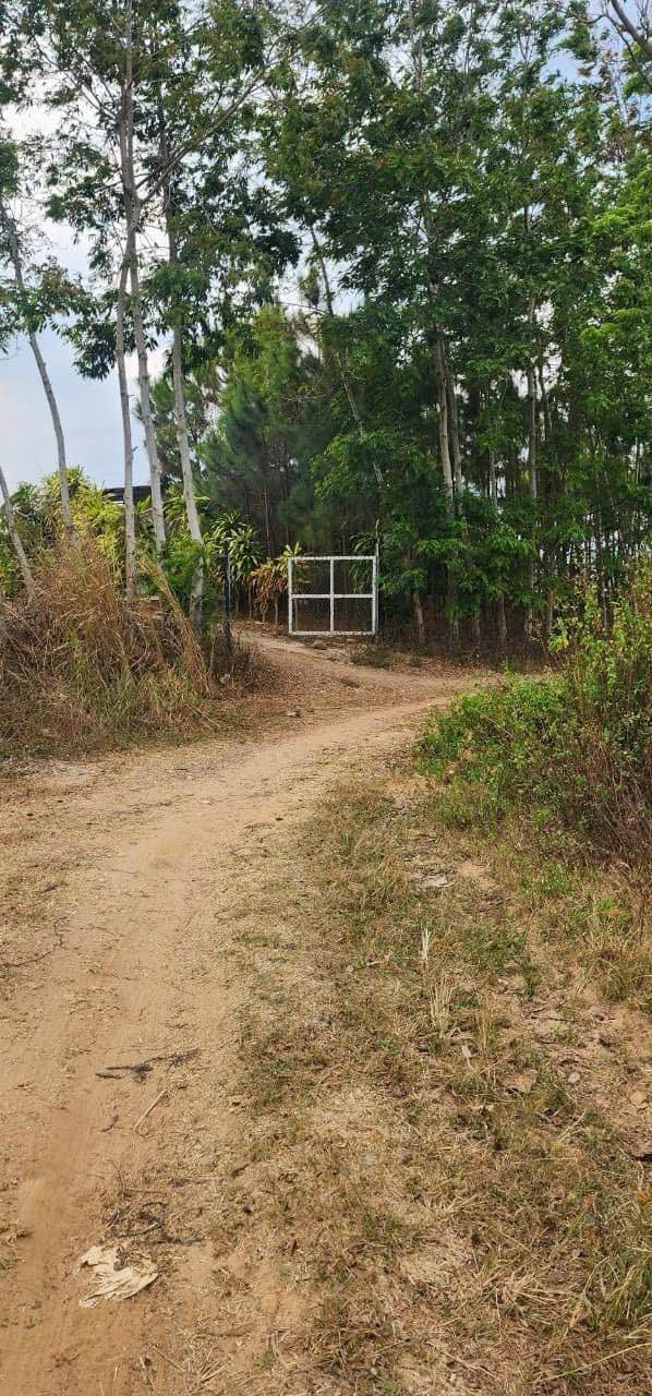 Lô đất Phú Hội, Đức Trọng 3700m² giá 2 tỷ - Đầu tư sinh lời tuyệt vời!