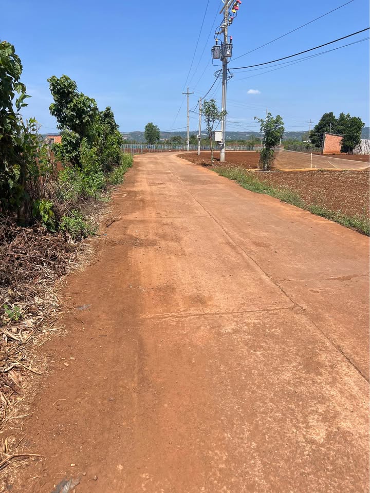 Đất cây hàng năm 1914m² Tân Hội, Đức Trọng - Giá tốt chỉ 2.4 tỷ!