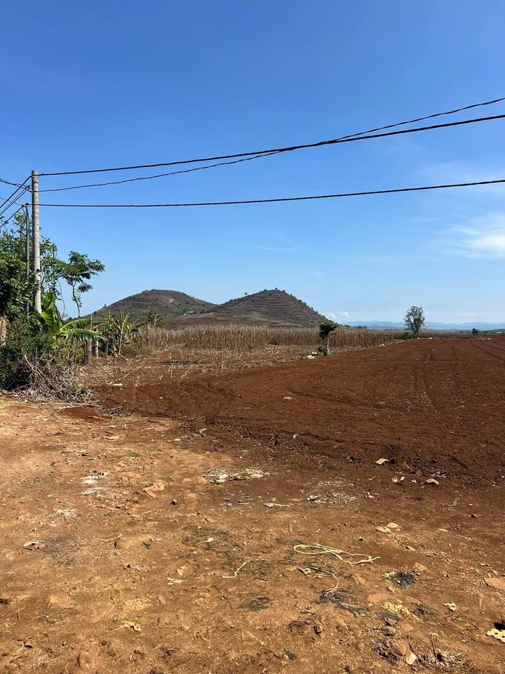 Đất Tân Hội 3.1 sào giá 4.5 tỷ - Địa thế đẹp, thoáng mát!