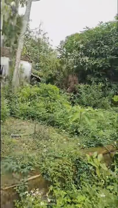 Đất nền Phú Lộc Nho Quan 1420m² giá 3 tỷ - Sổ đỏ chính chủ