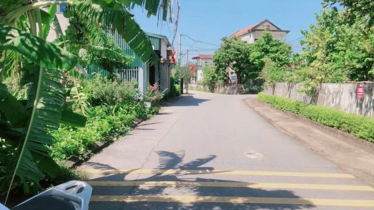 Đất nền chính chủ tại Khánh Thiện Yên Khánh 100m² giá chỉ 1.2 tỷ - Cơ hội đầu tư hấp dẫn!