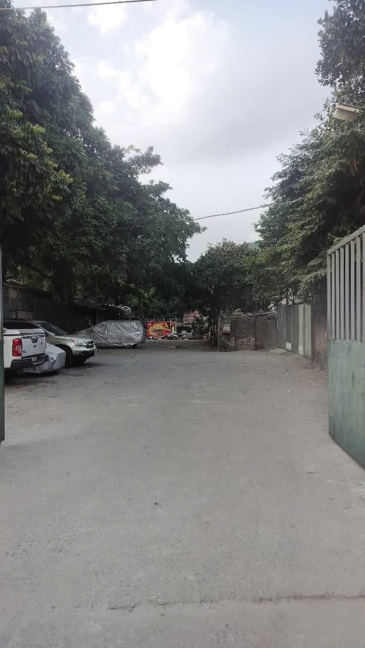 Đất mặt ngõ Ô TÔ Thúy Lĩnh 77m² giá 7.6 tỷ - Thông tứ tung, vị trí đắc địa!