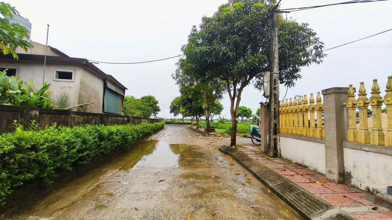 Đất nền Tượng Sơn - 184,9m² giá 1.5 tỷ - Vị trí đắc địa gần UB xã!