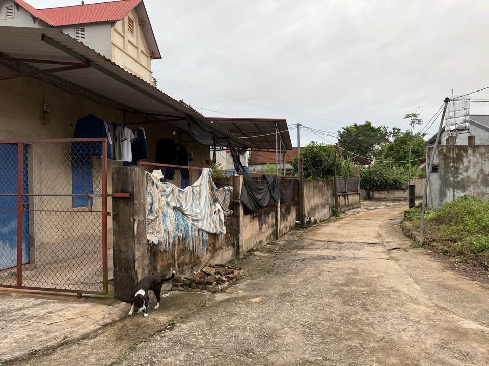 Đất thổ cư tại Đồng Tiến, Phổ Yên 95m² giá 1 tỷ - Cơ hội đầu tư hấp dẫn!