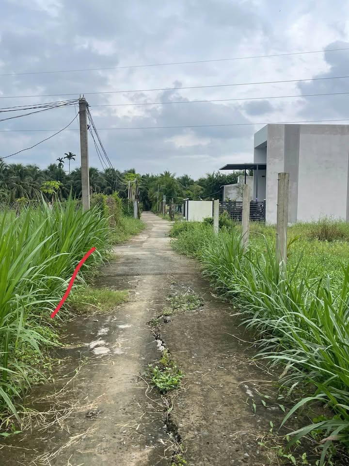 Đất nền Phường Trung An, Mỹ Tho 100m² giá 395 triệu - Lô góc 2 mặt tiền!