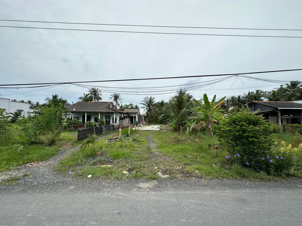 Đất nền Gò Công Tây 222m² giá 590 triệu - Vị trí đẹp để xây nhà và kinh doanh!