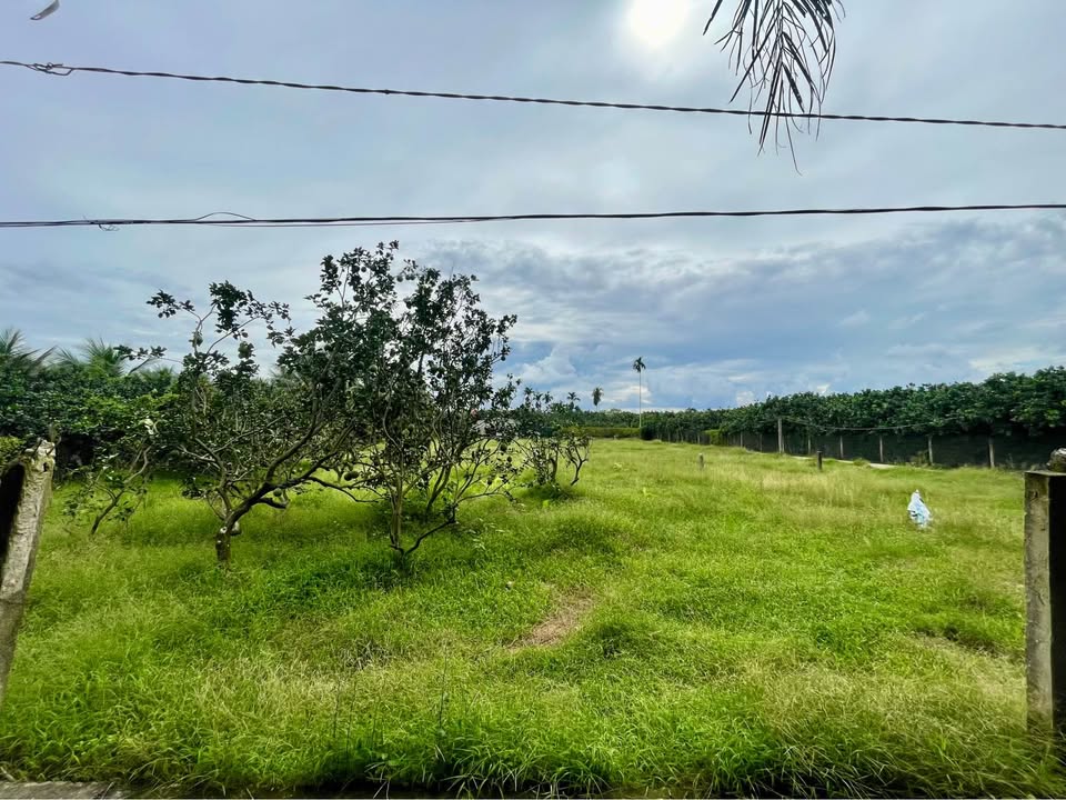 Lô đất Mỹ Hòa, Mỹ Phong 85m² giá chỉ 5xx triệu - Đầu tư siêu lợi nhuận!