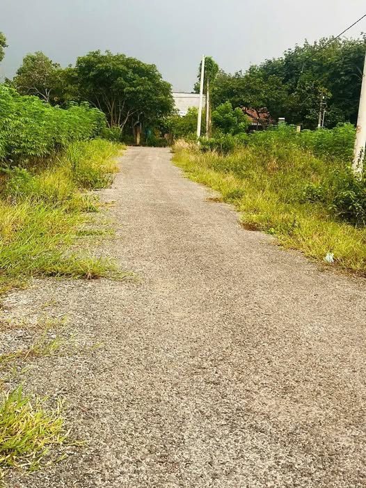 Đất nền Tân Hưng, Đồng Phú 215m² - Mặt tiền đường nhựa, giá chỉ 2xx triệu!