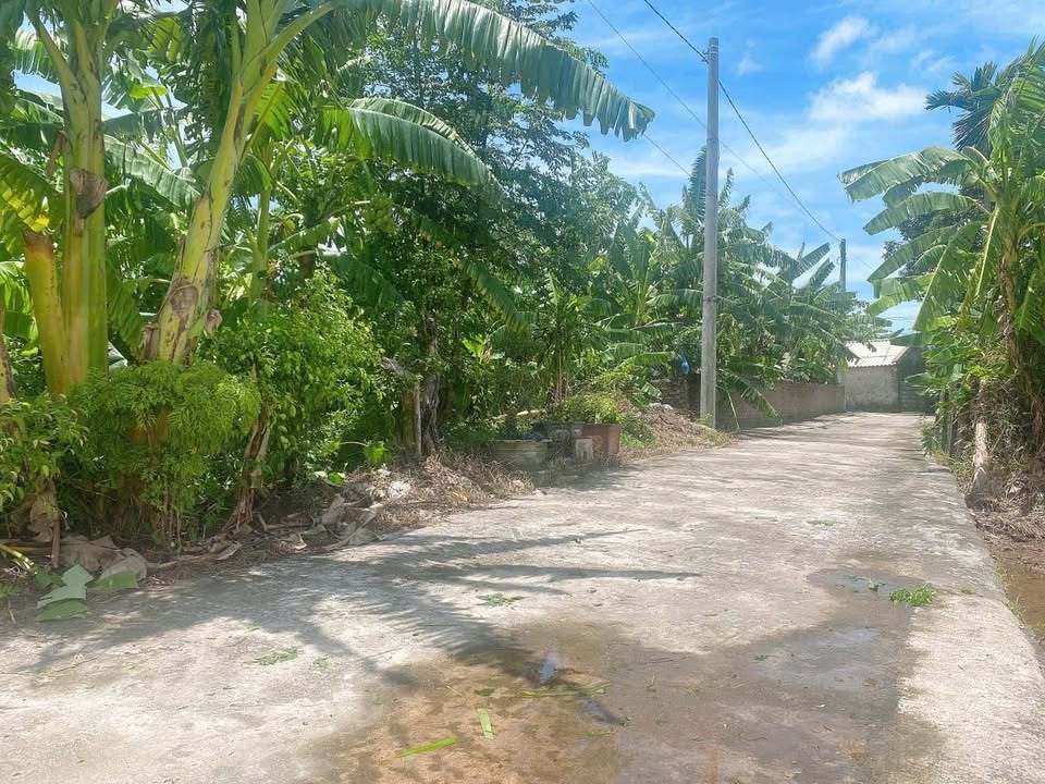 Đất nền Tiền Hải Thái Bình 79m² giá thương lượng - Đường ô tô vào tận nơi!