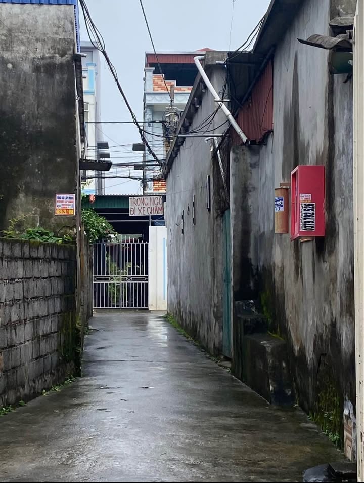 Lô đất thổ cư Tân Bình 62m² giá 1.1 tỷ - Đầu tư sinh lời lý tưởng!