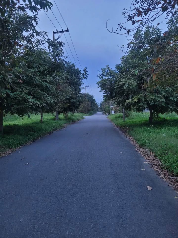 Đất thổ cư Nhựt Chánh, Bến Lức 76m² giá 1.25 tỷ - Đầu tư sinh lời ngay!