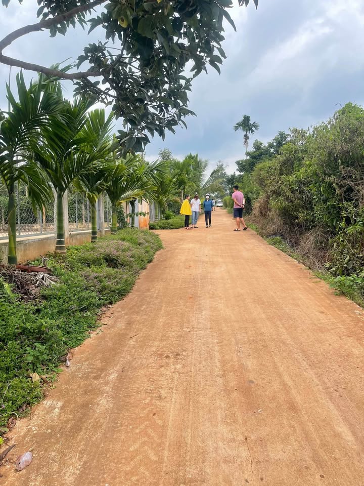 Lô đất 500m² tại xã Tam Giang, Krông Năng - Sổ hồng riêng, giá thỏa thuận!