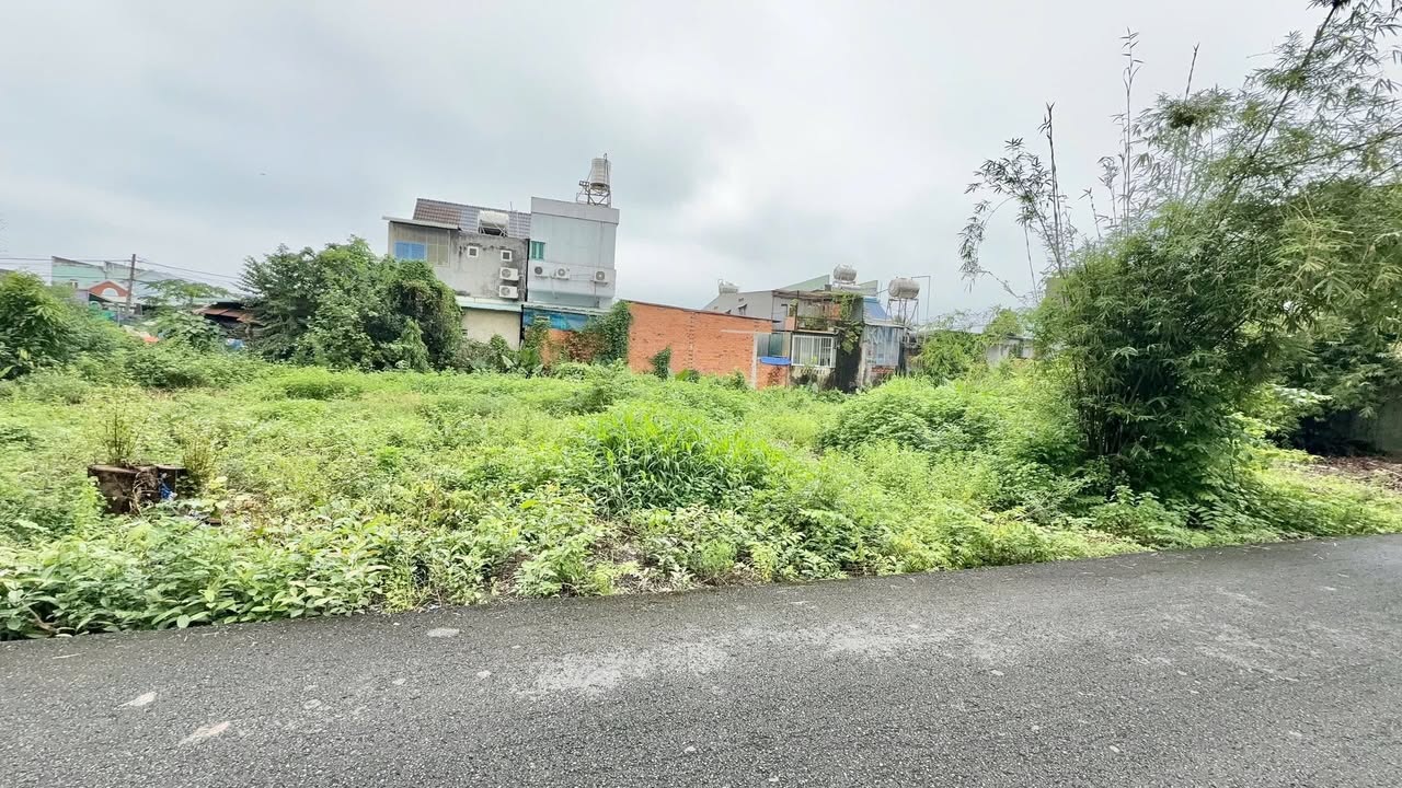 Đất Mặt Tiền Đường Lê Thọ Xuân Củ Chi 695m² - Cơ Hội Đầu Tư Tiềm Năng!