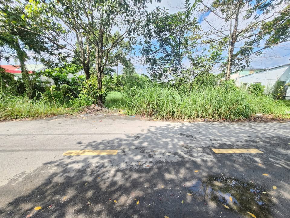 Đất mặt tiền Trung An, Củ Chi 5391m² giá chỉ 3.5 triệu/m² - Cơ hội đầu tư sinh lời cao!