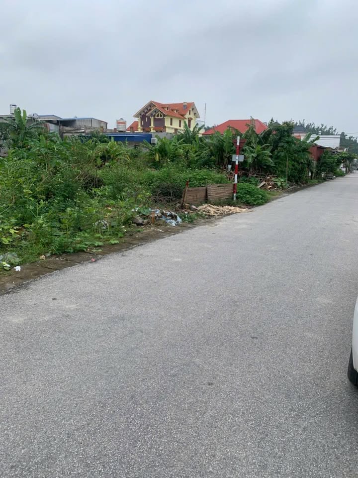 Đất nền Xuân La, Thanh Sơn 66m² giá 1.8 tỷ - Vị trí kinh doanh lý tưởng!