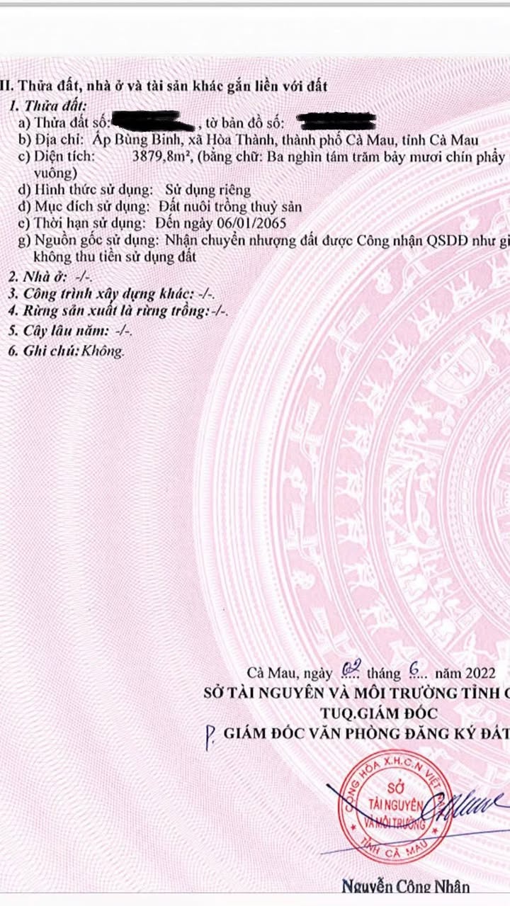 Đất nền tuyến tránh Cà Mau 3879,8m² - Vị trí đắc địa, thuận lợi giao thông!