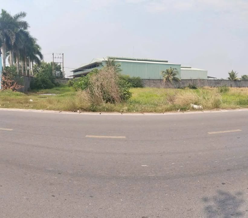 Đất thổ cư 300m² mặt tiền Tỉnh lộ 9, Đức Hòa - Giá chỉ 12 tỷ!