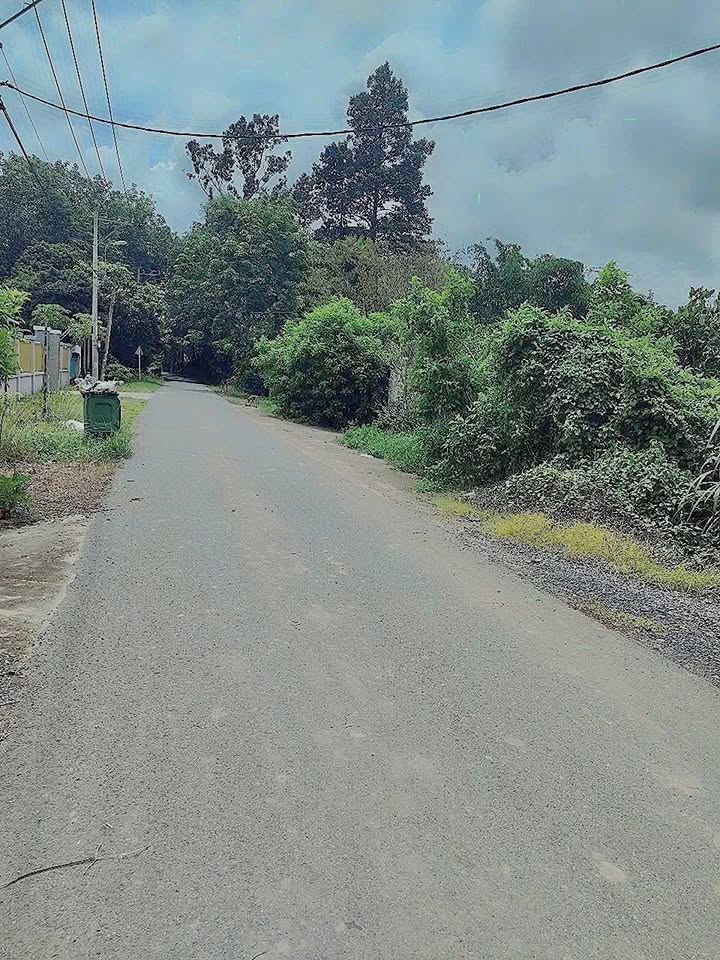 Đất Nhuận Đức, Củ Chi 1370m² giá 6 tỷ - Sổ hồng chính chủ, đầu tư sinh lời!