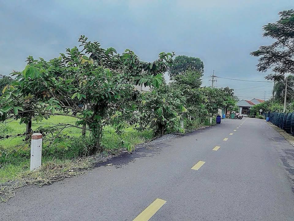 Đất thổ cư 762m² Phước Hiệp, Củ Chi chỉ 5.3 tỷ - Vị trí tuyệt đẹp!