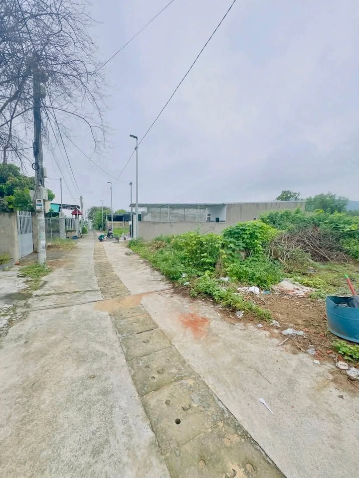 Đất thổ cư Phước Hưng Bà Rịa 165m² giá chỉ 1.25 tỷ - Cơ hội đầu tư tuyệt vời!