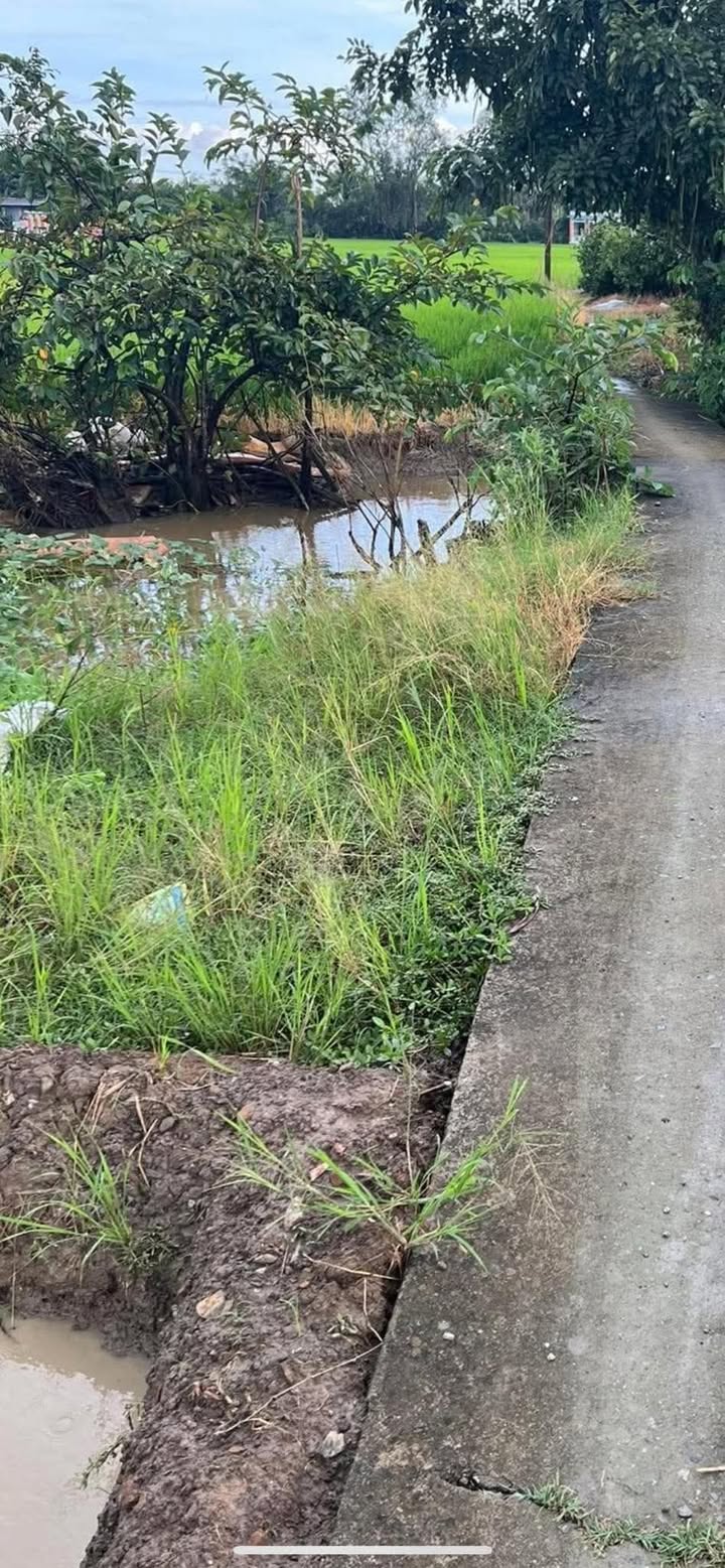 Đất thổ cư 1000m² Tân Ân, Cần Đước - Giá 1,4 tỷ, cơ hội đầu tư tốt!