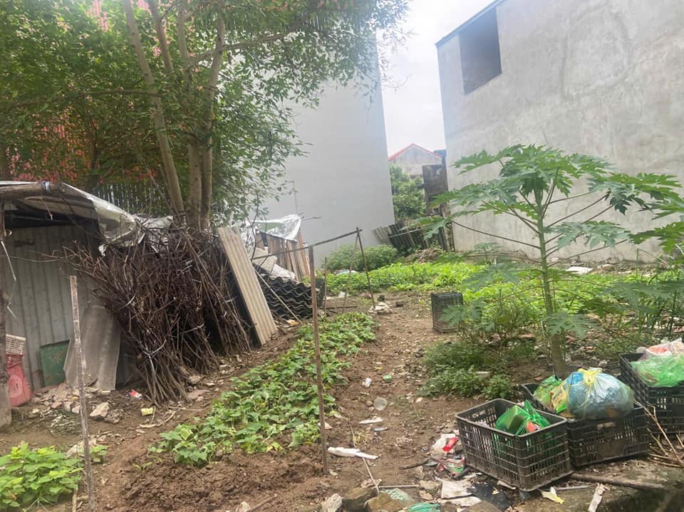 Đất nền Vân Dương, Bắc Ninh 95m² giá 1 tỷ - Lô đẹp nhất khu!